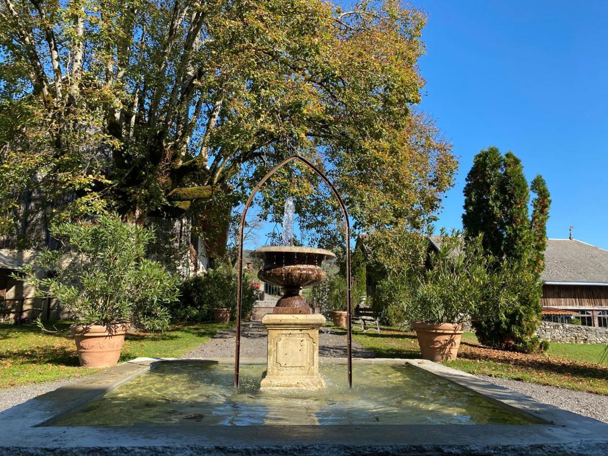 Chateau De Morgenex Vallières Екстериор снимка
